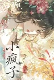 小疯子（1v1古言h）